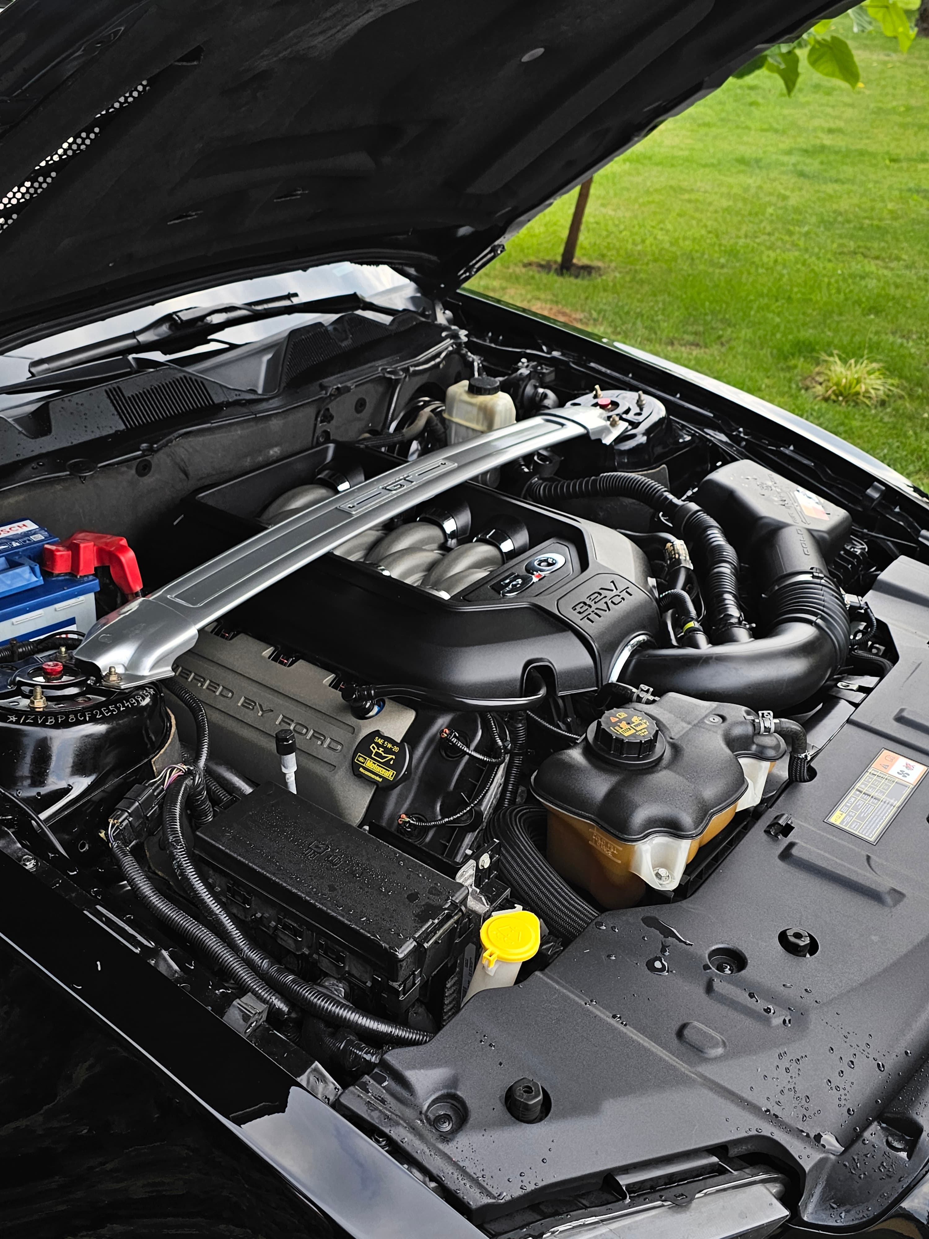 Ford Mustang - chameleon, przyciemnianie, detailing